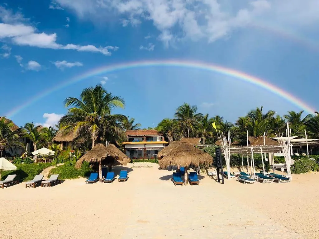 Chillaxing Beach Front House Villa Tulum